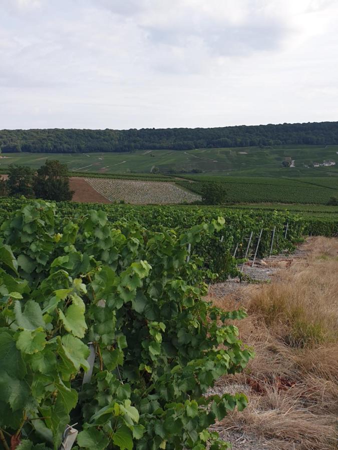 La Longere De Vin'Ay Appartement Vinay  Buitenkant foto